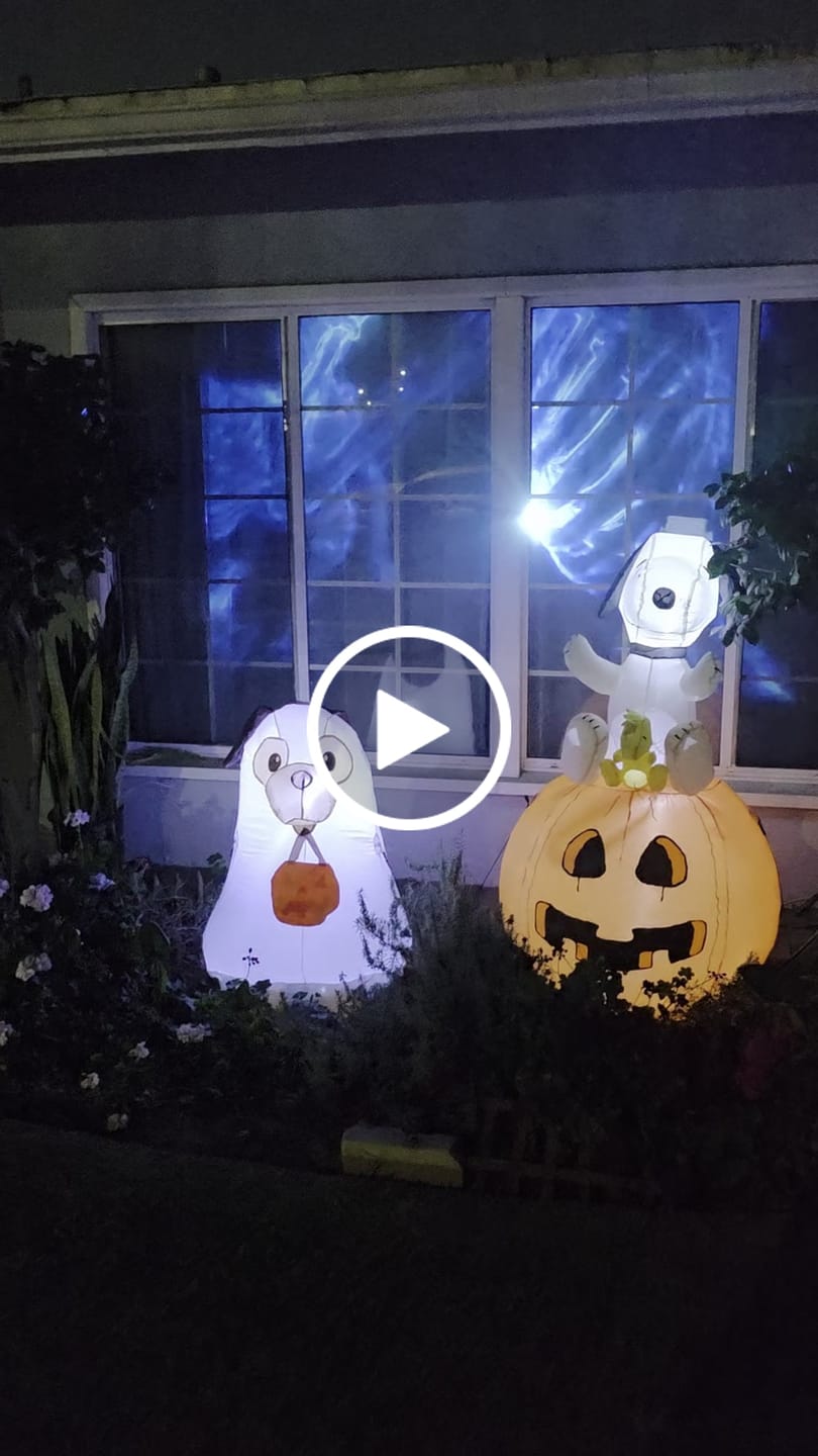 Customer video review of Adjustable Projector Stand