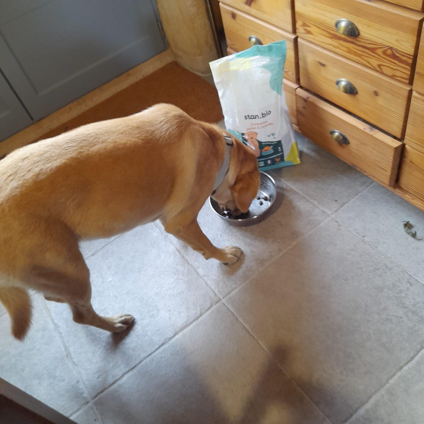 Customer photo review of Croquettes Poulet & Citrouille - Chien Moyenne & Grande race