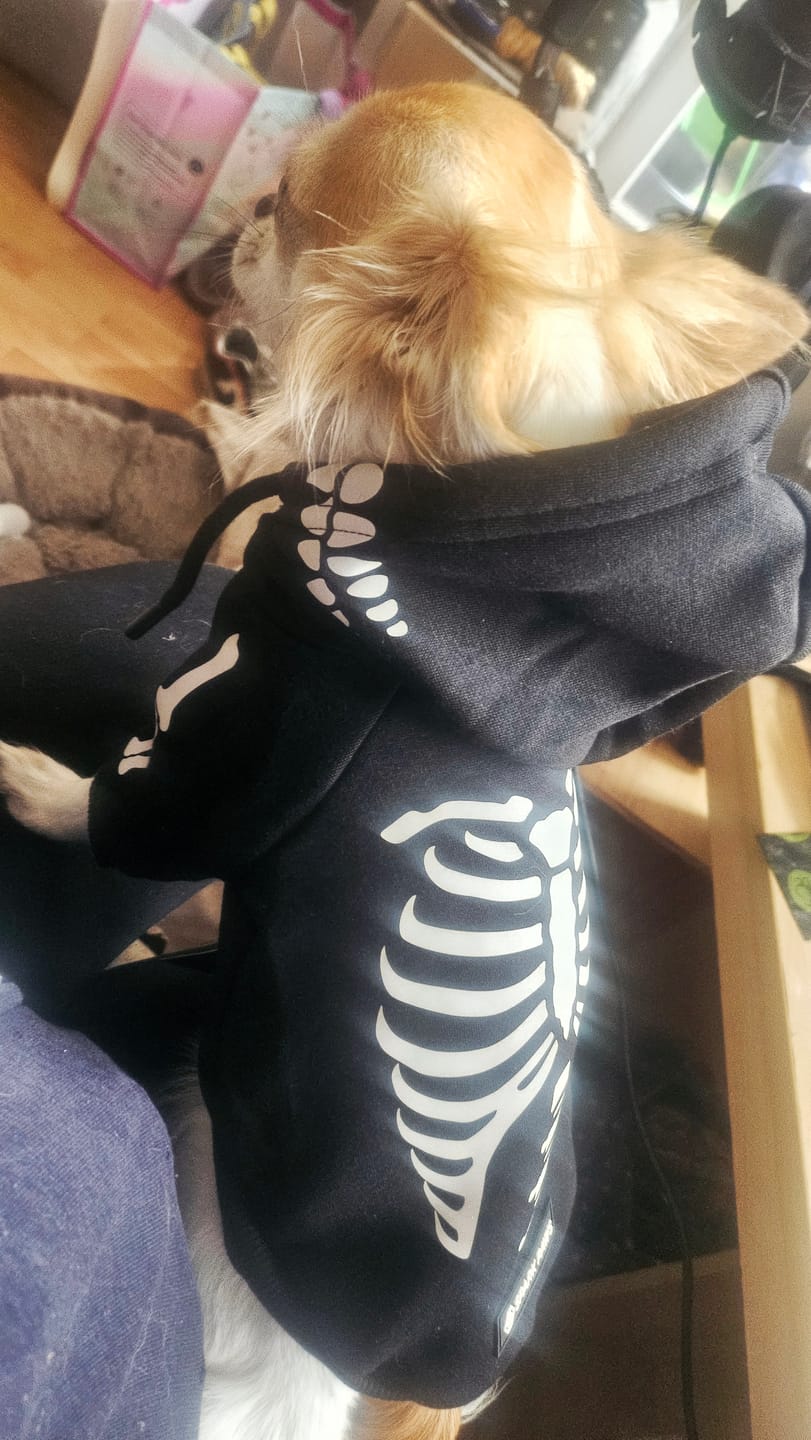 Customer photo review of Halloween Dog Hoodies (Limited Edition)
