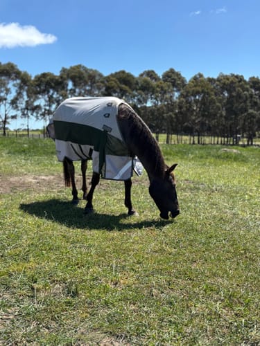 Customer photo review of LE Boxter Hybrid Mack Turnout 0g