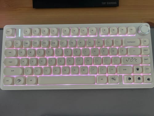 Customer photo review of The Neutral Kit