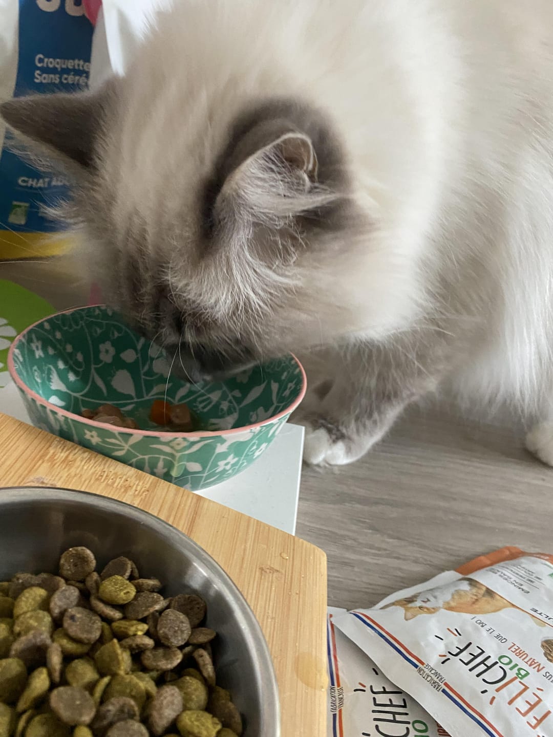 Customer photo review of Croquettes Poisson & Pois - Chat Adulte