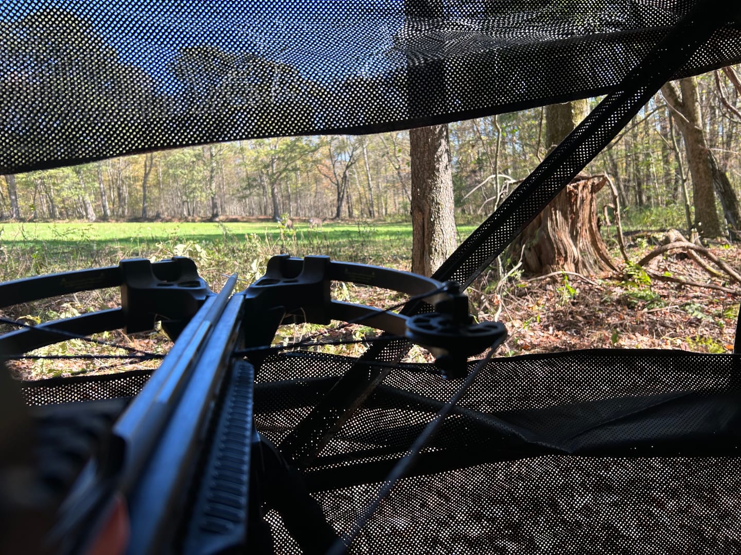Customer photo review of Tidewe VisTrilogy See-Through Pop-Up Hunting Ground Blind for Deer, Turkey (4-6 Person)