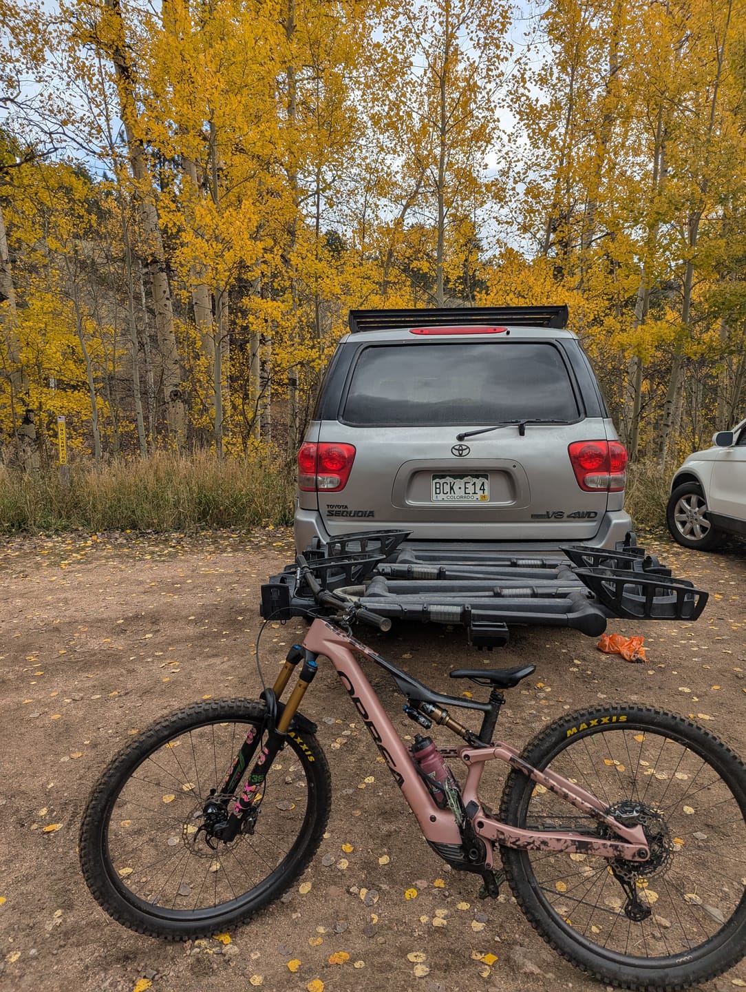 Customer photo review of Custom Fox 36 Decal