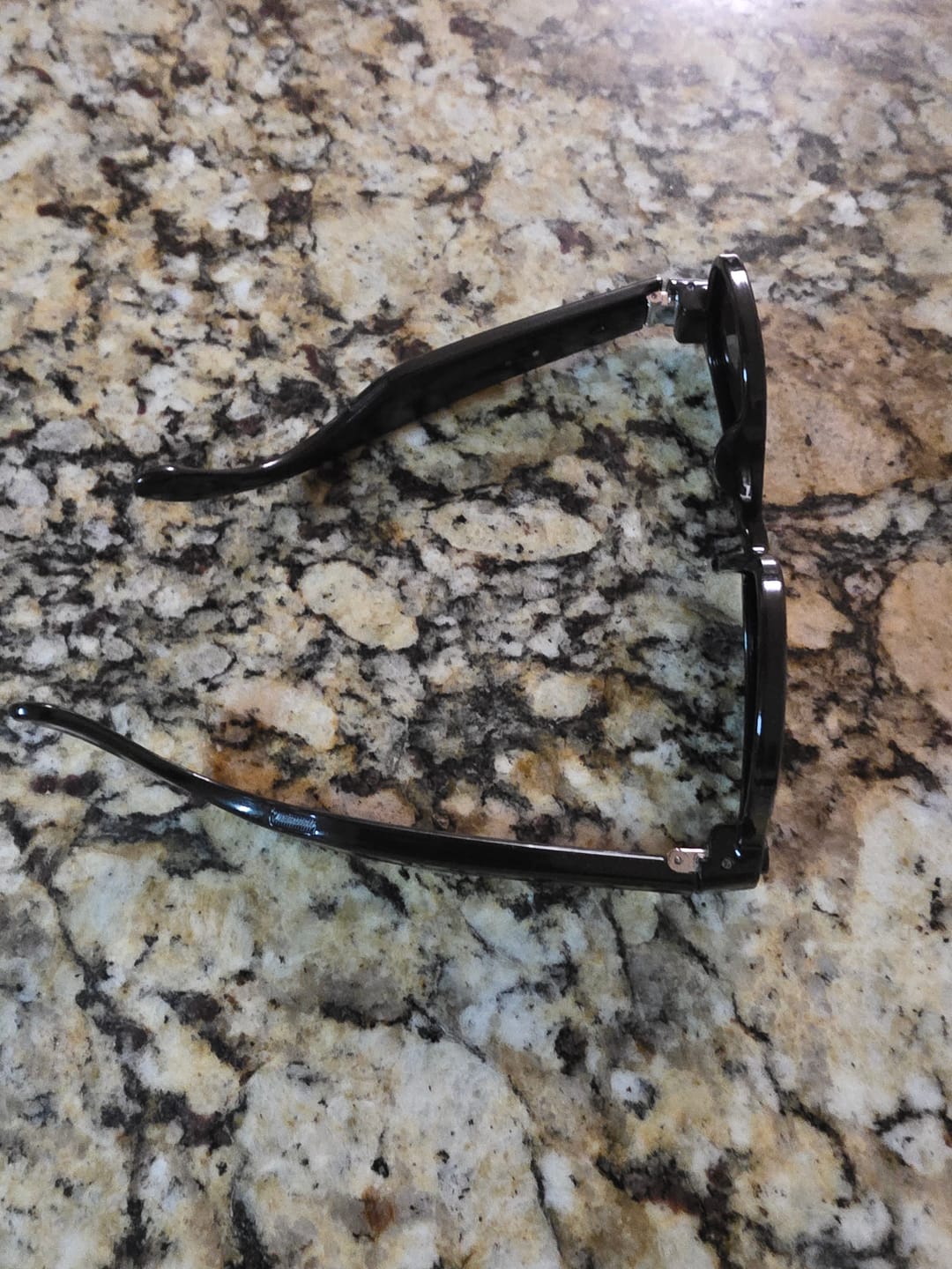 Customer photo review of SmartVision