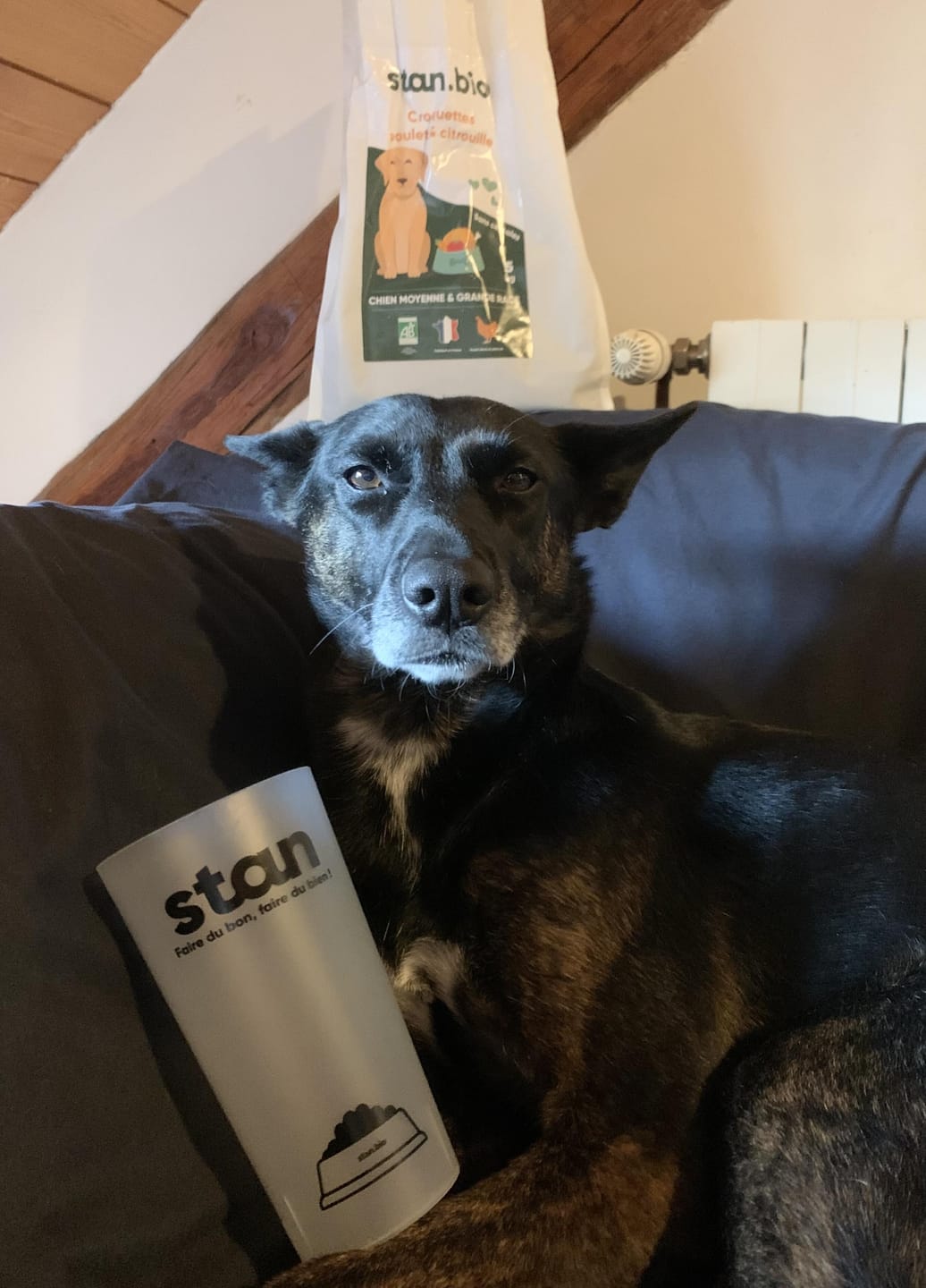 Customer photo review of Croquettes Poulet & Citrouille - Chien Moyenne & Grande race