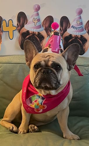 Customer photo review of Personalized Dog Party Pack