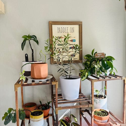 Ashley P. review of Plant Food image 1 out of 5