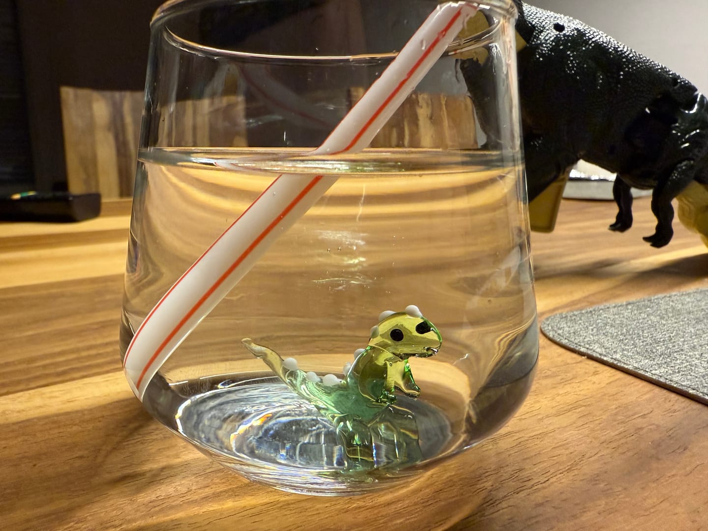 Customer photo review of Dinosaur Glass