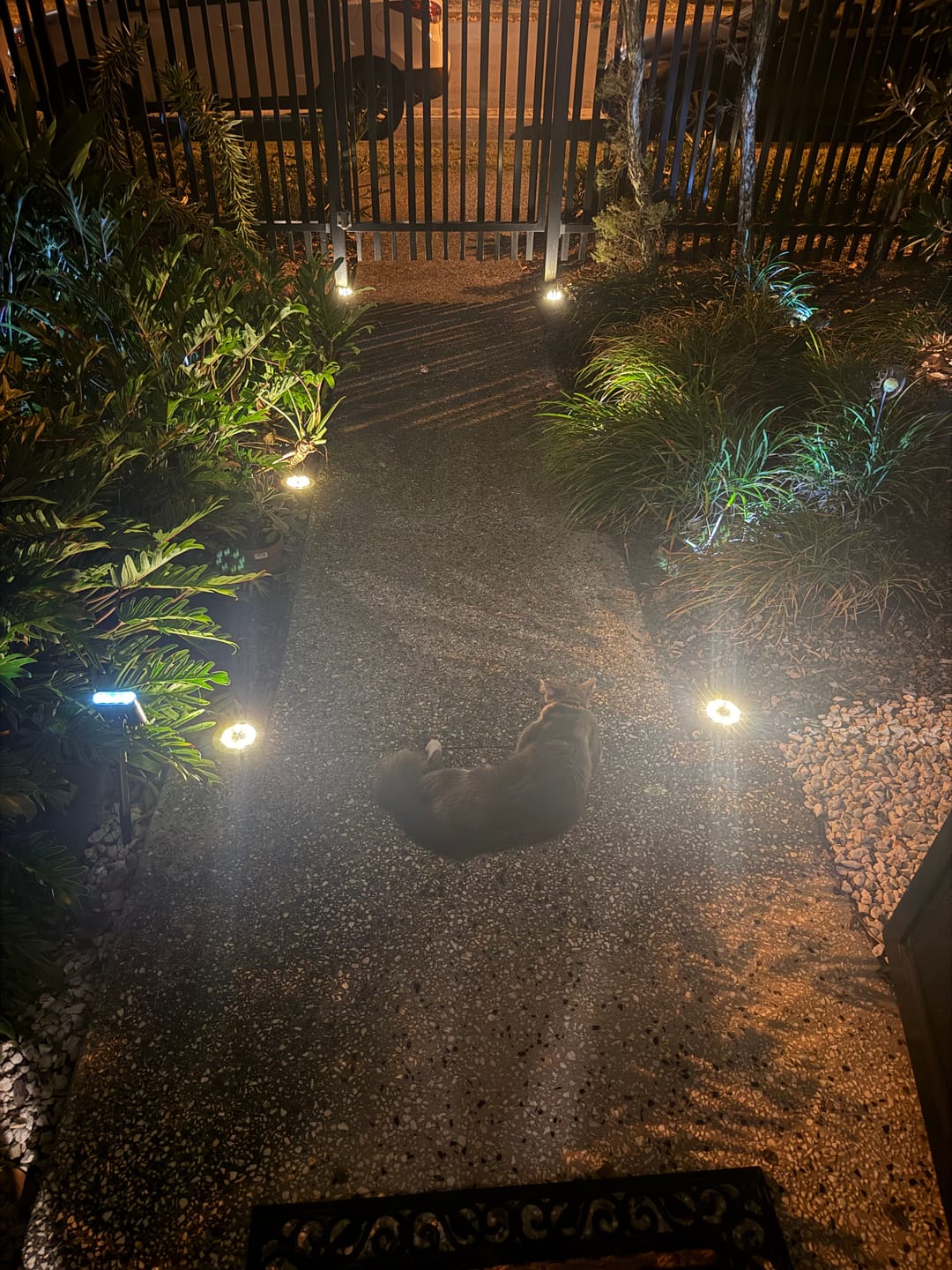 Customer photo review of SolaGarden™ LED Ground Light Pack