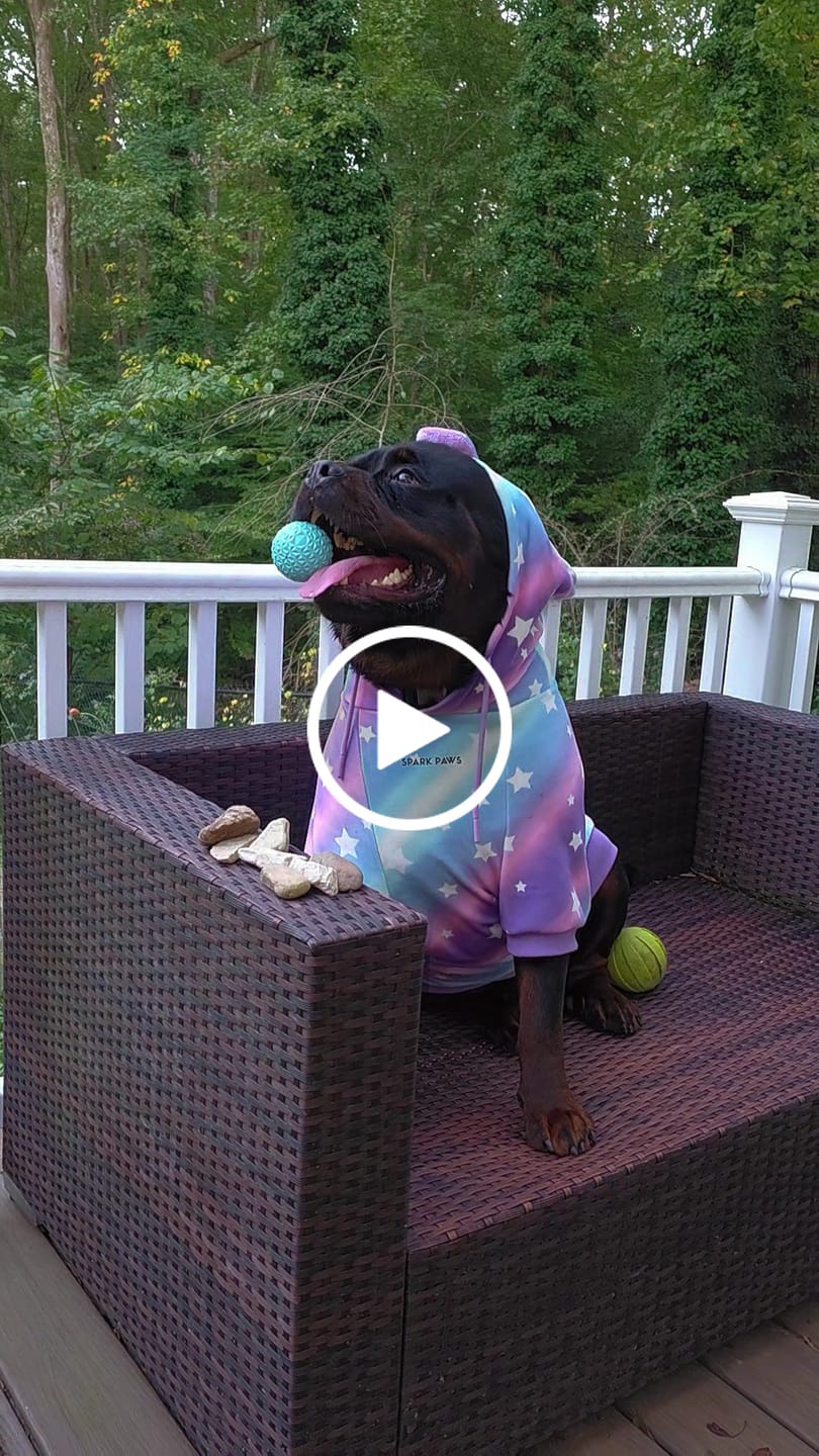 Customer video review of Halloween Dog Hoodie - Unicorn