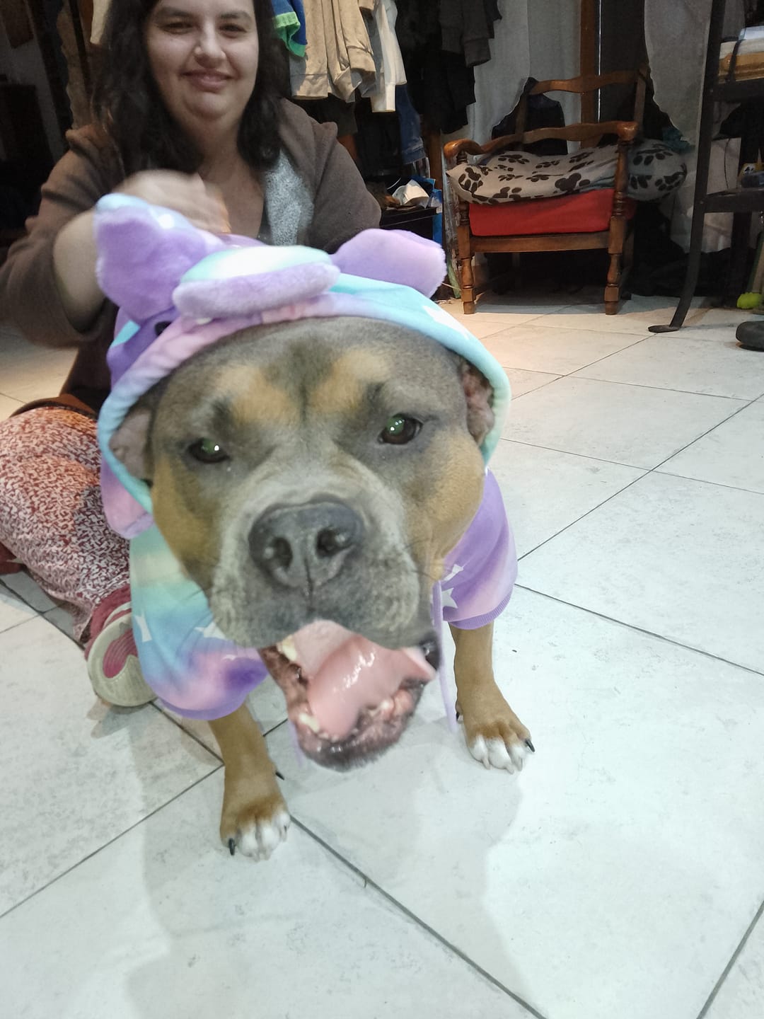 Customer photo review of Halloween Dog Hoodie - Unicorn