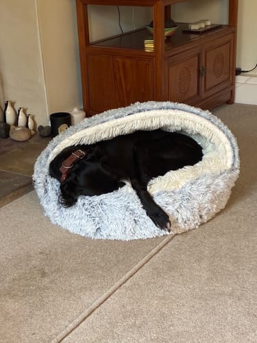 Customer photo review of Super Plush Cove Bed