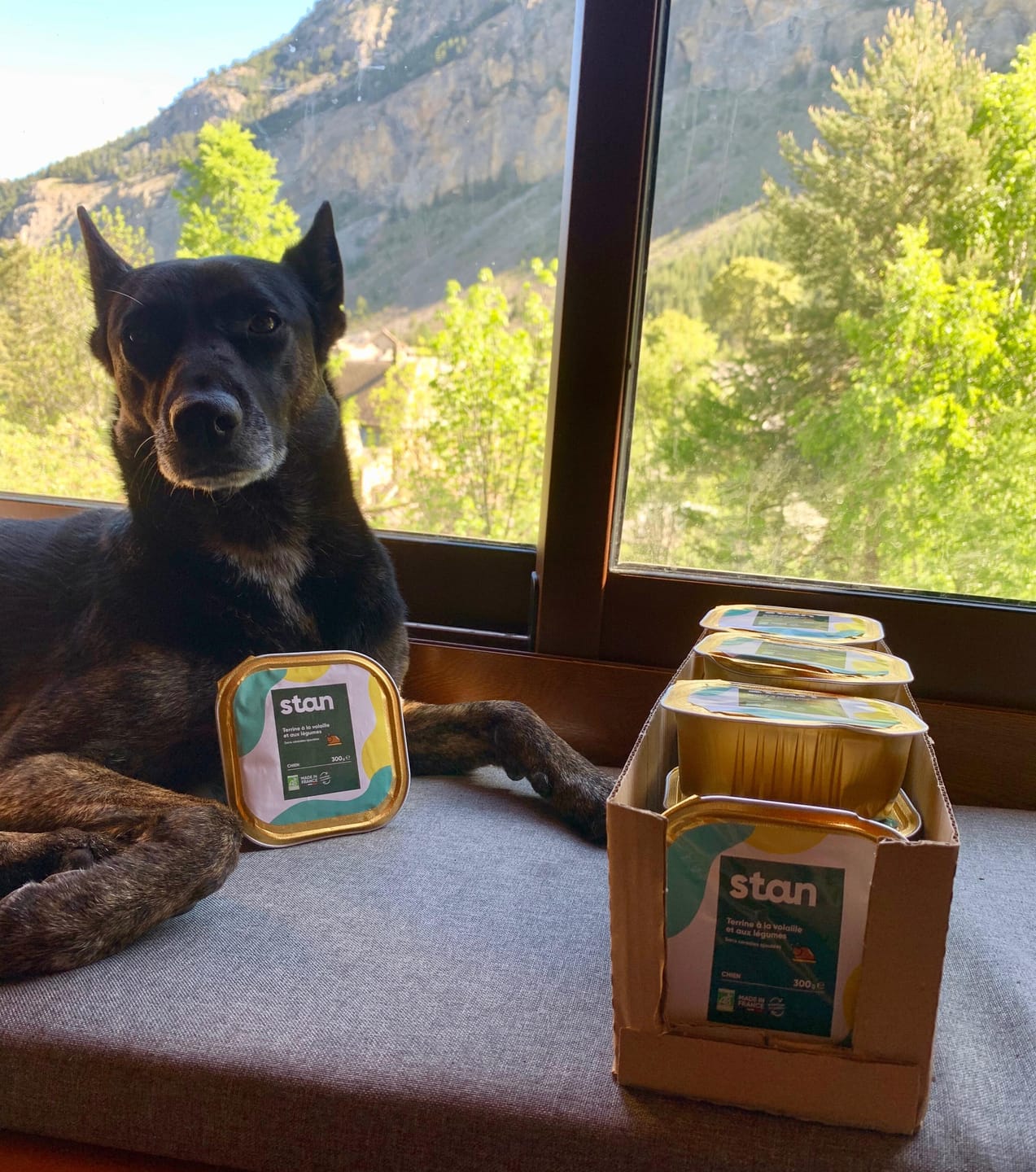 Customer photo review of Pâtée Volaille Fraîche & Légumes (x9) - Chien