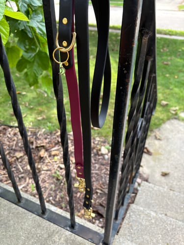 Customer photo review of Obsidian - Classic Biothane Dog Leash