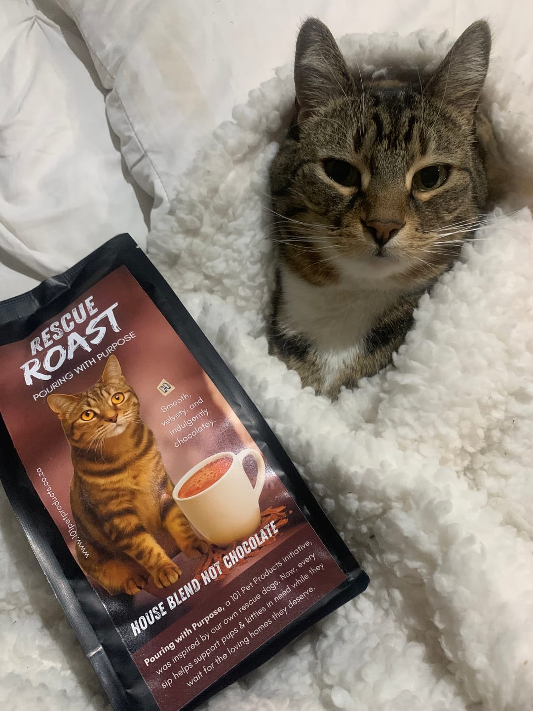 Customer photo review of Meowcocoa Bliss (101 Pet Products) 250g Hot Chocolate
