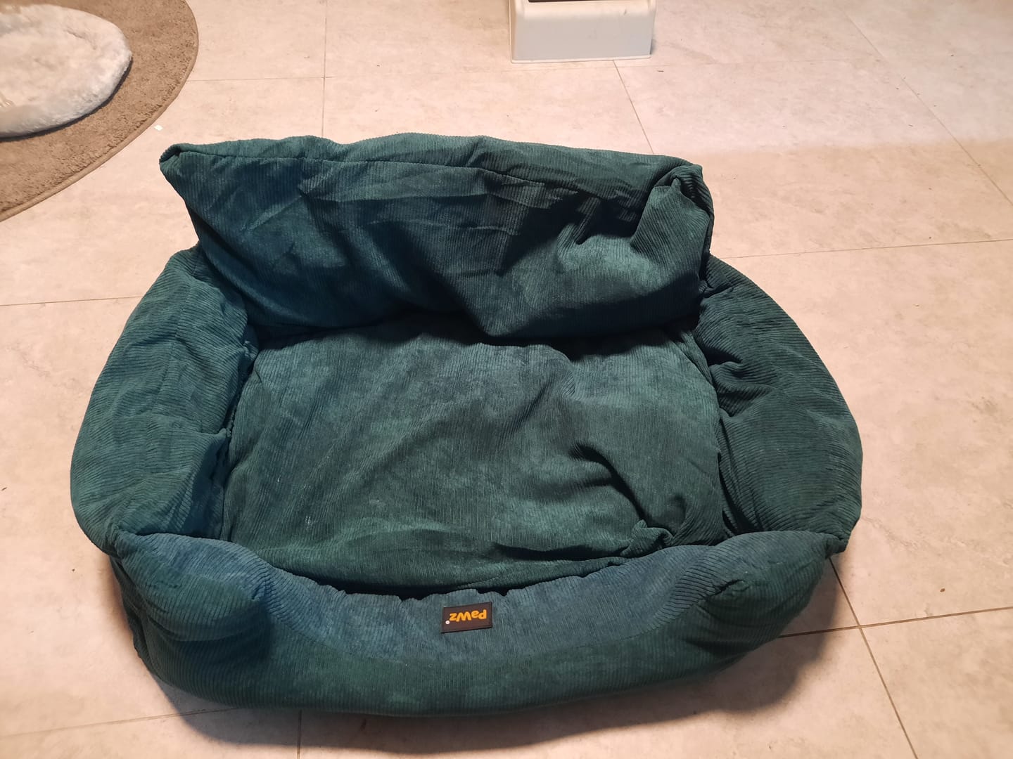Customer photo review of Dog Car Booster Seat