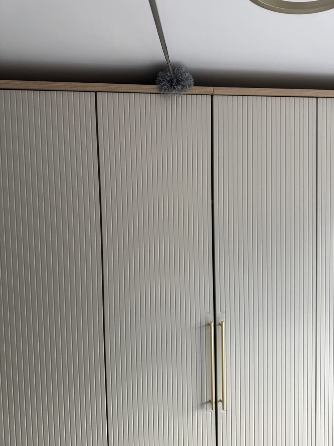 Customer photo review of Magicwipe™ Extendable Duster with