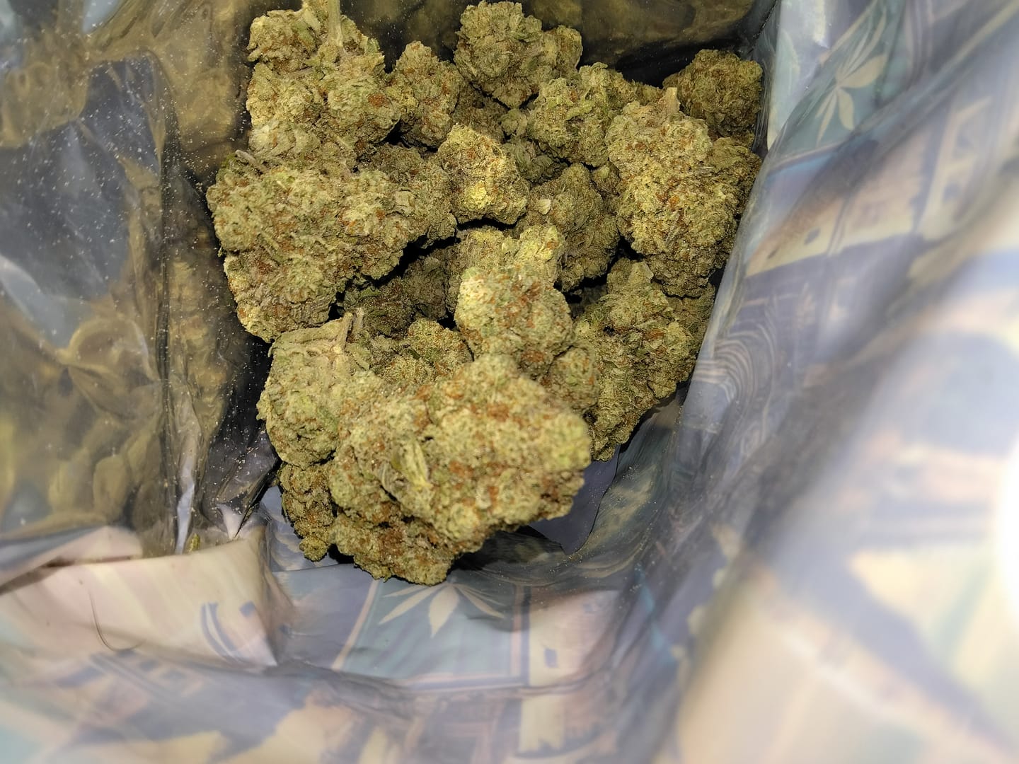 Customer photo review of Lemon Haze Indoor THCA Trim