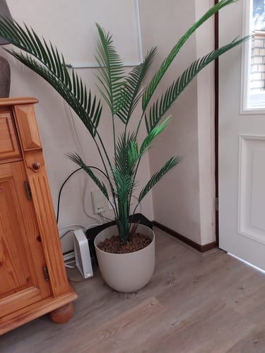 Customer photo review of Kunstpalm 130cm