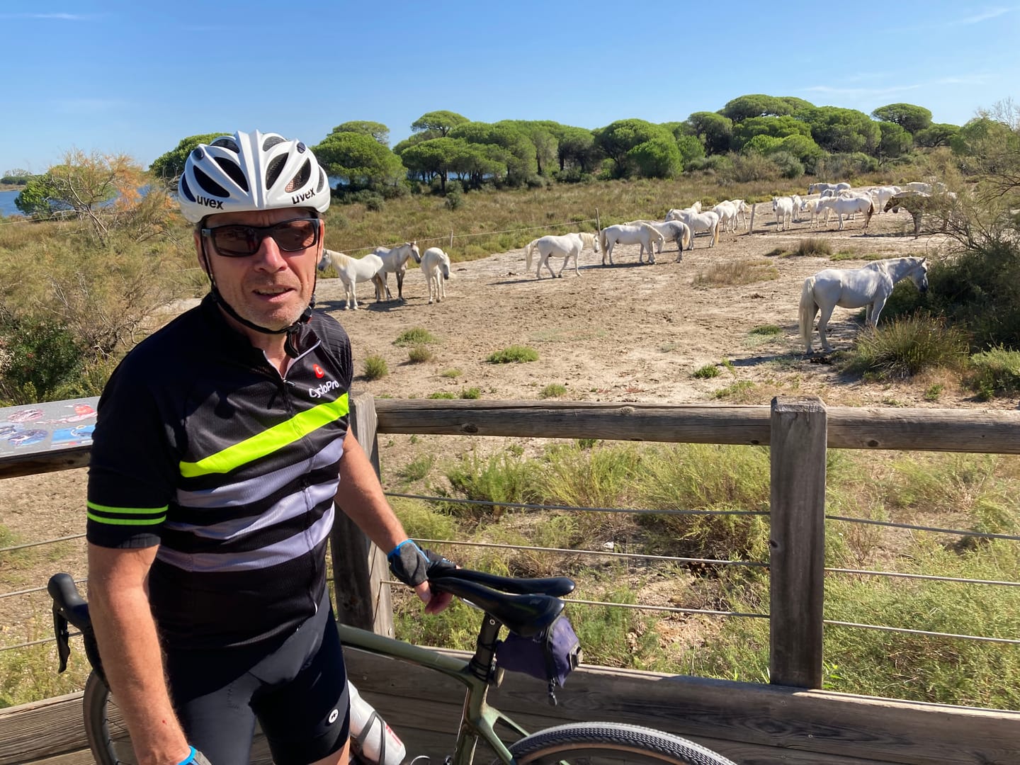 Klantfotorecensie van Green Road Fietsshirt - Racing+