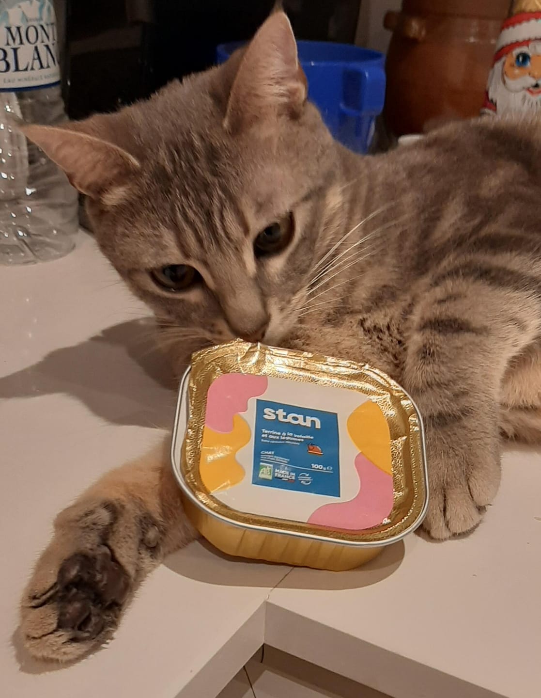 Customer photo review of Pâtée Saumon & Légumes (x16) - Chat