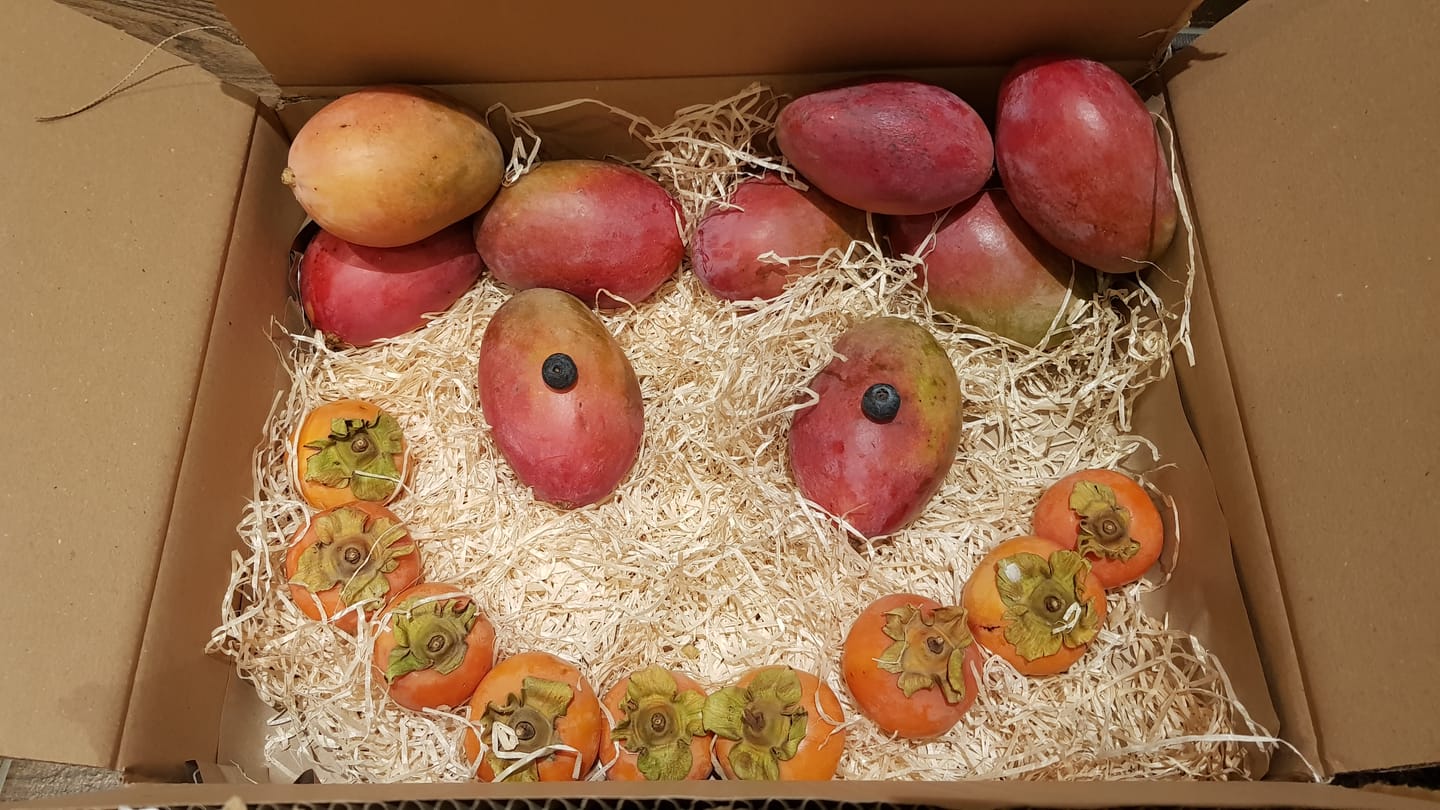 Customer photo review of Mini-Mango Osteen Bio Sonderpreis % 3kg