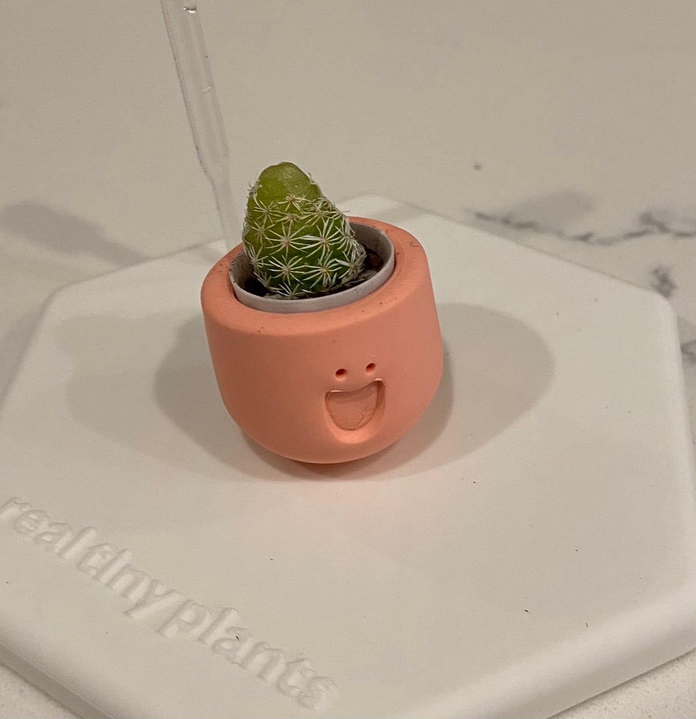 Customer photo review of LOL