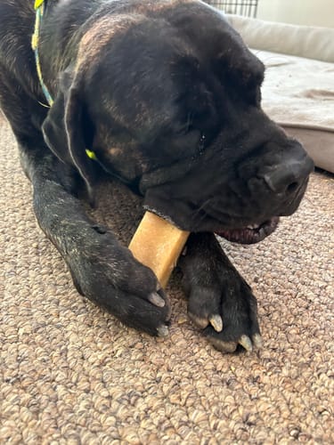 Customer photo review of Jumbo Yak Milk Dog Chews
