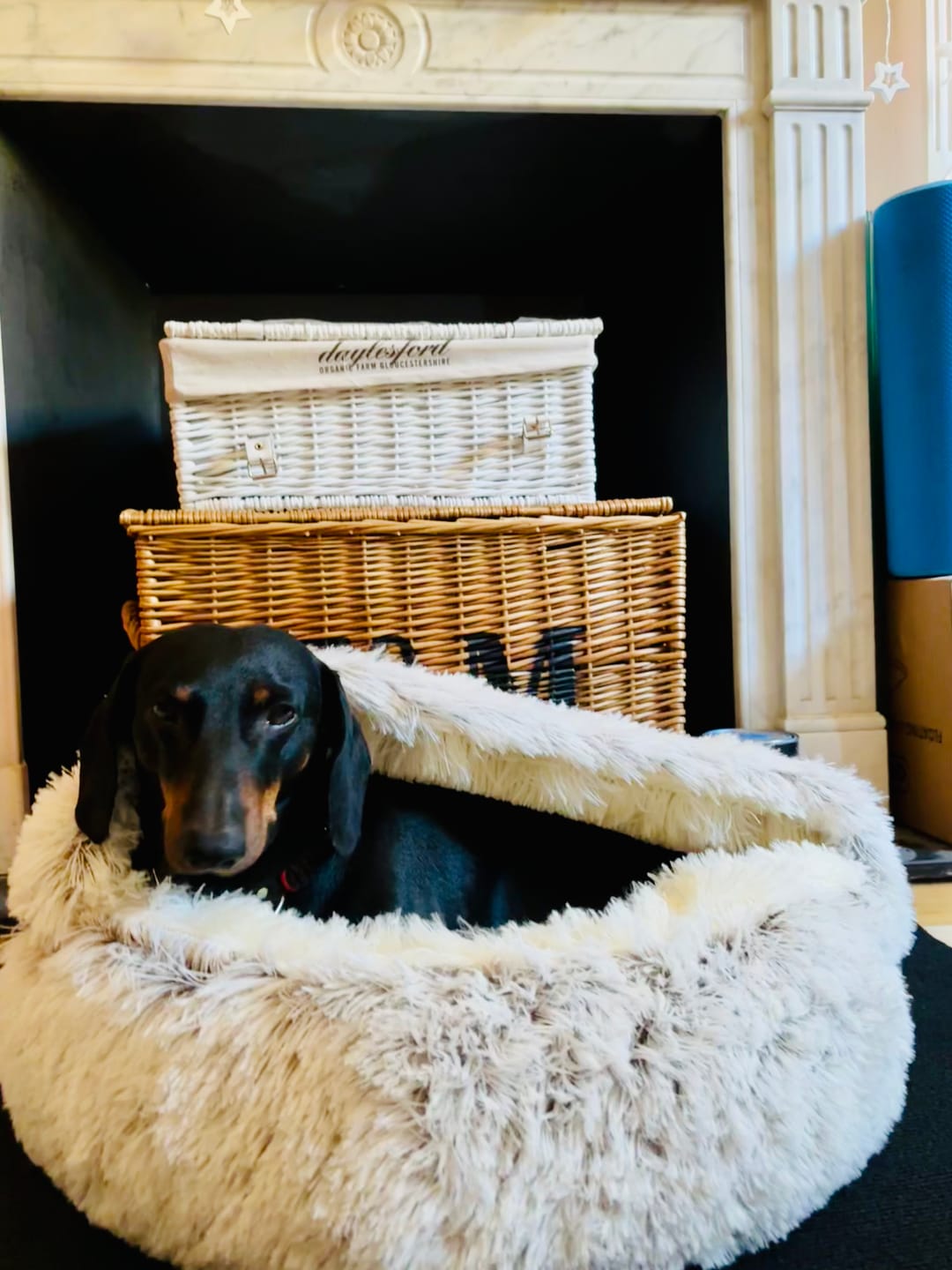 Customer photo review of Burrow Buddy™ - Pet Bed