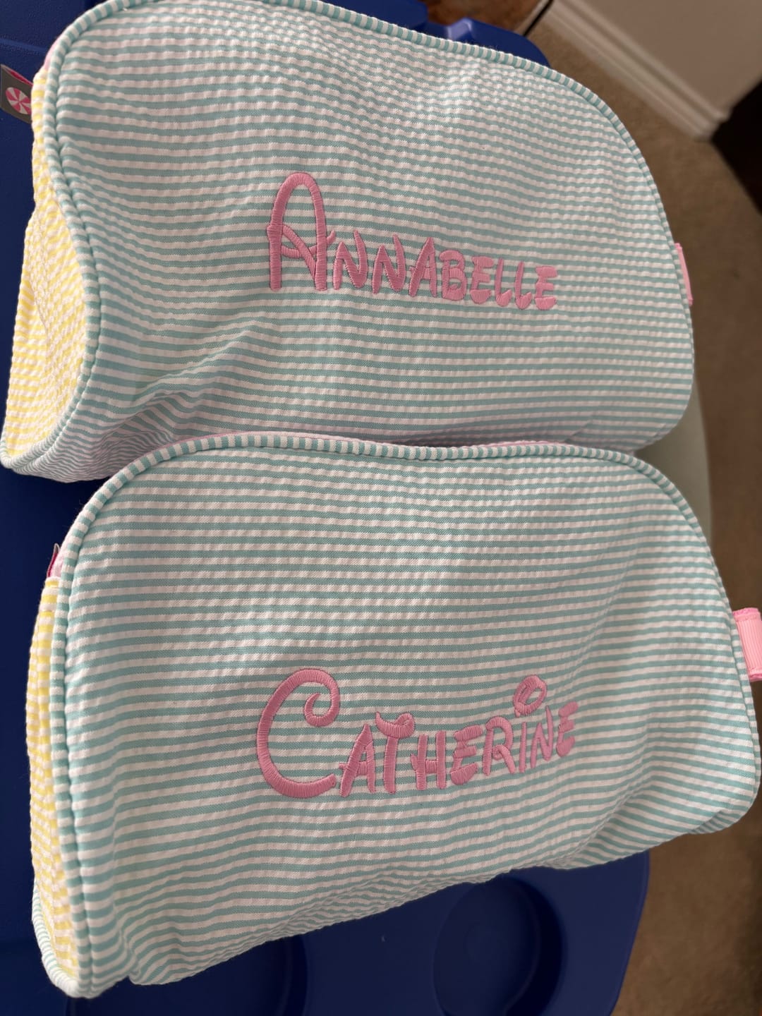Customer photo review of Traveler Bag