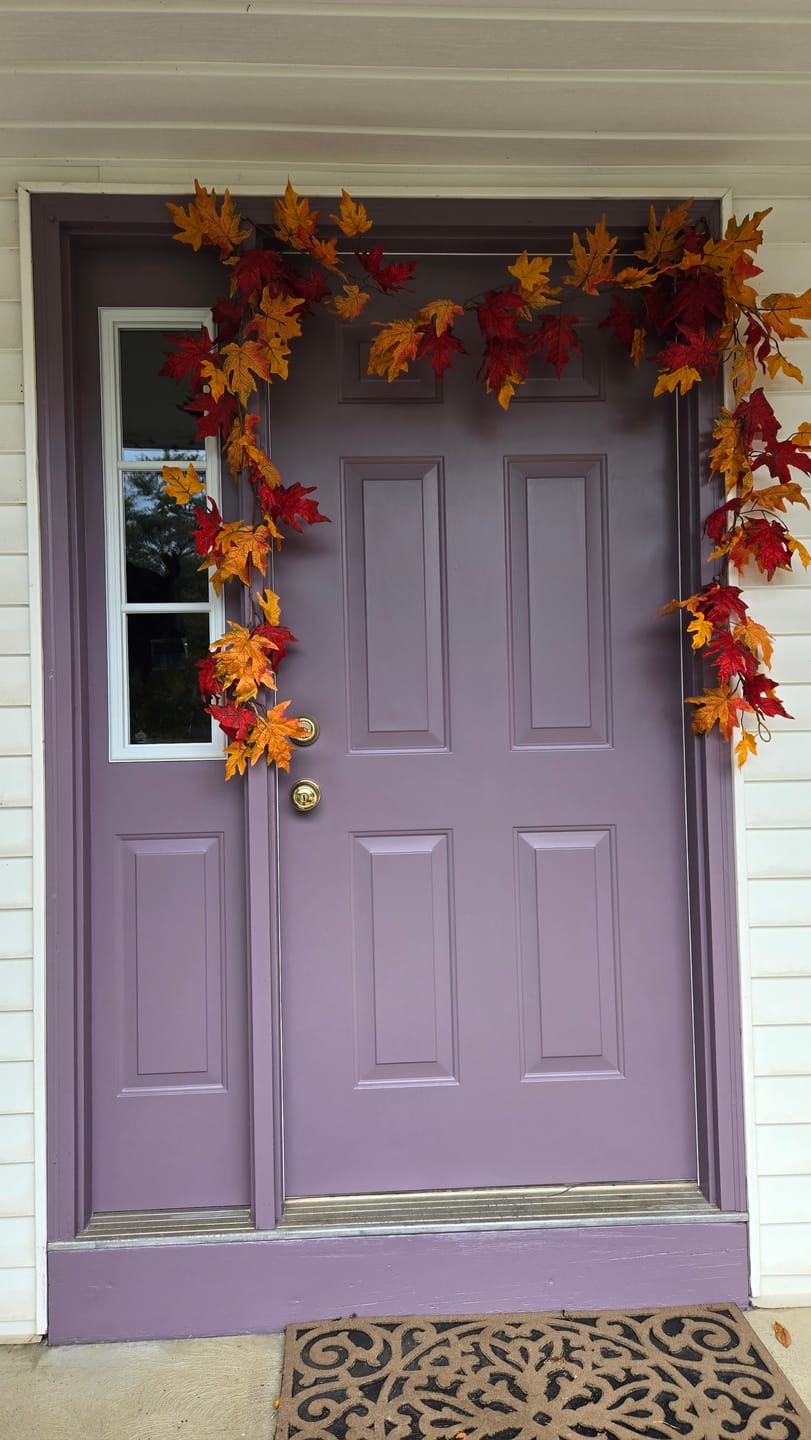 Customer photo review of Half Sidelite Frame Kit with 3 Grids