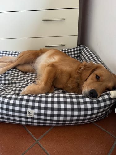 Customer photo review of Divanetto Cotone Quadretto Grigio