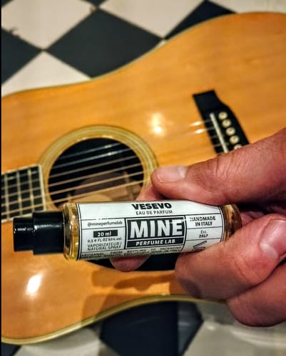 Customer photo review of VESEVO