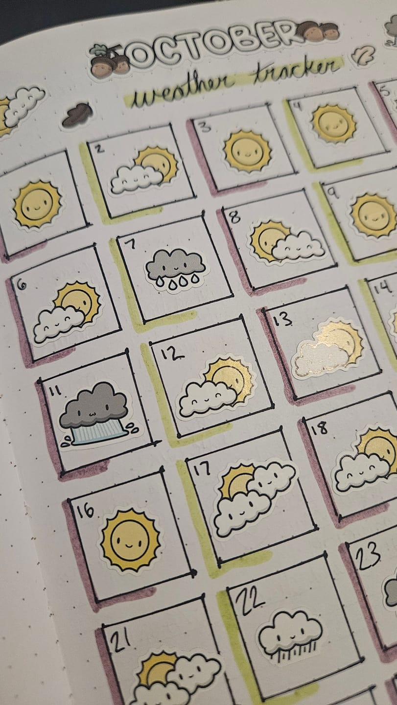 Customer photo review of It's Raining, It's Pouring Planner Stickers