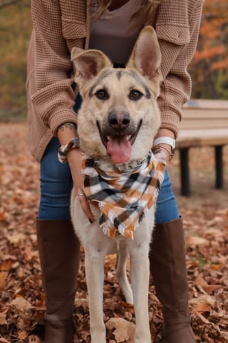 Customer photo review of October Preset Bundle