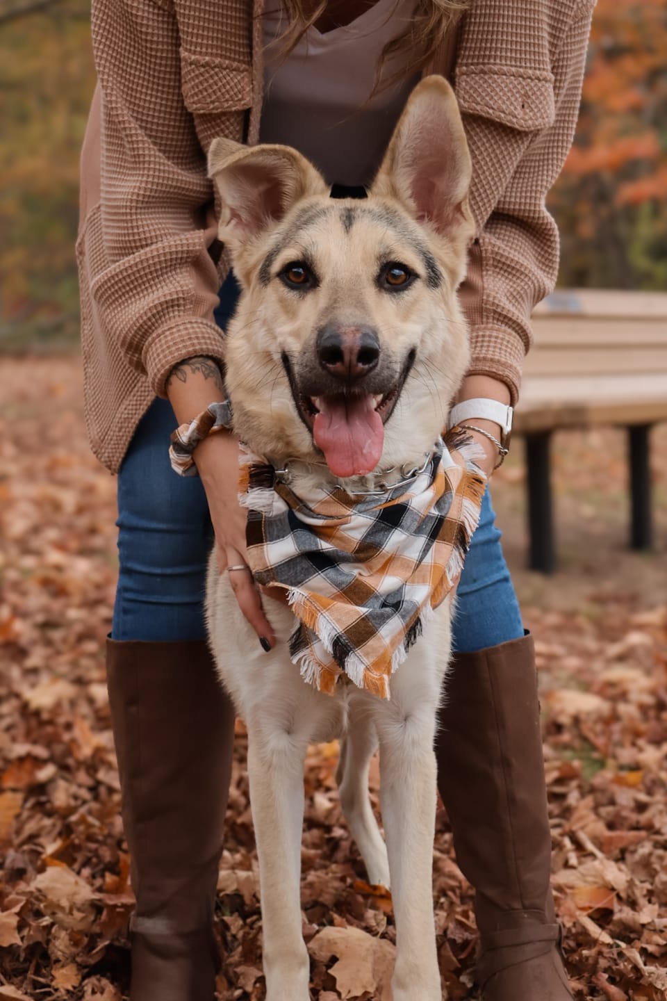 Customer photo review of October Preset Bundle