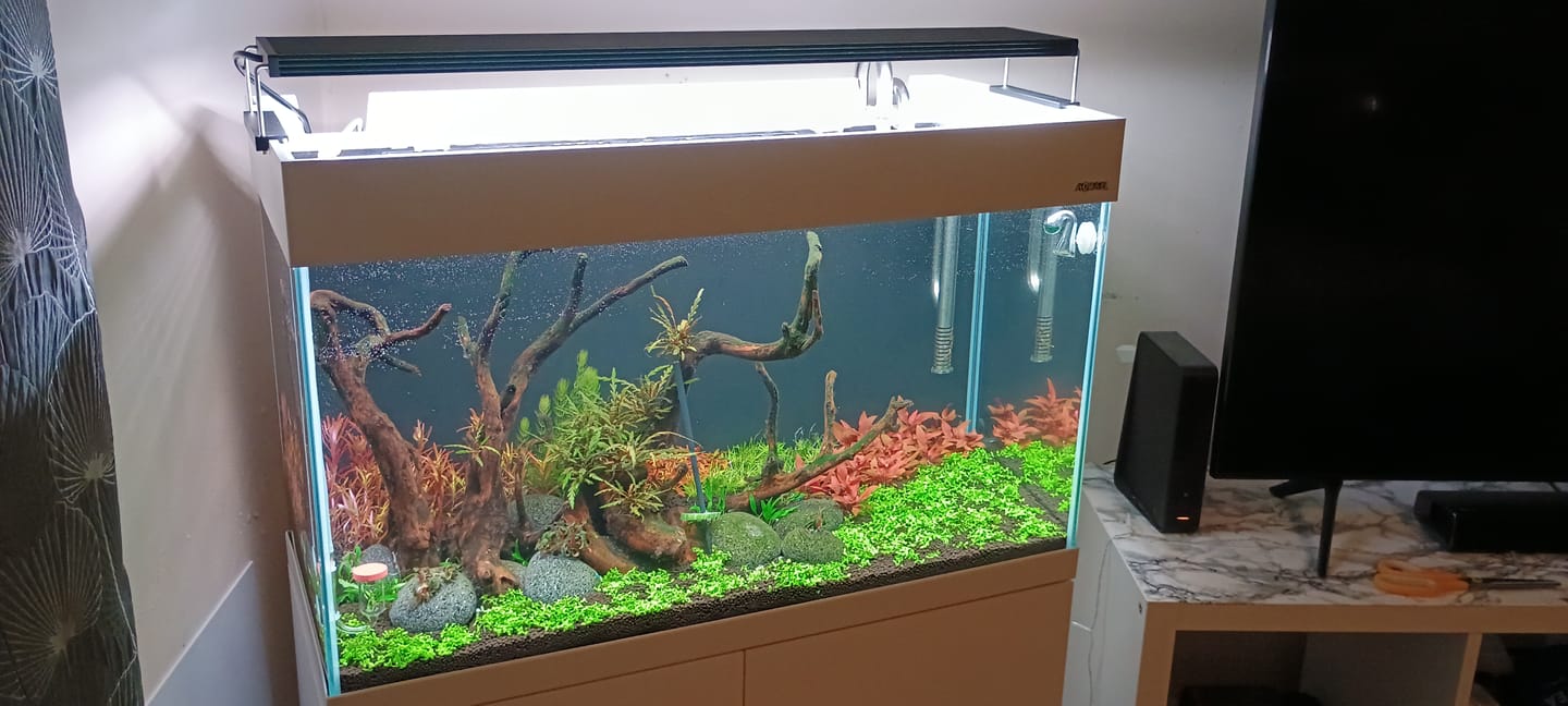 Customer photo review of Chihiros WRGB II Pro LED Light