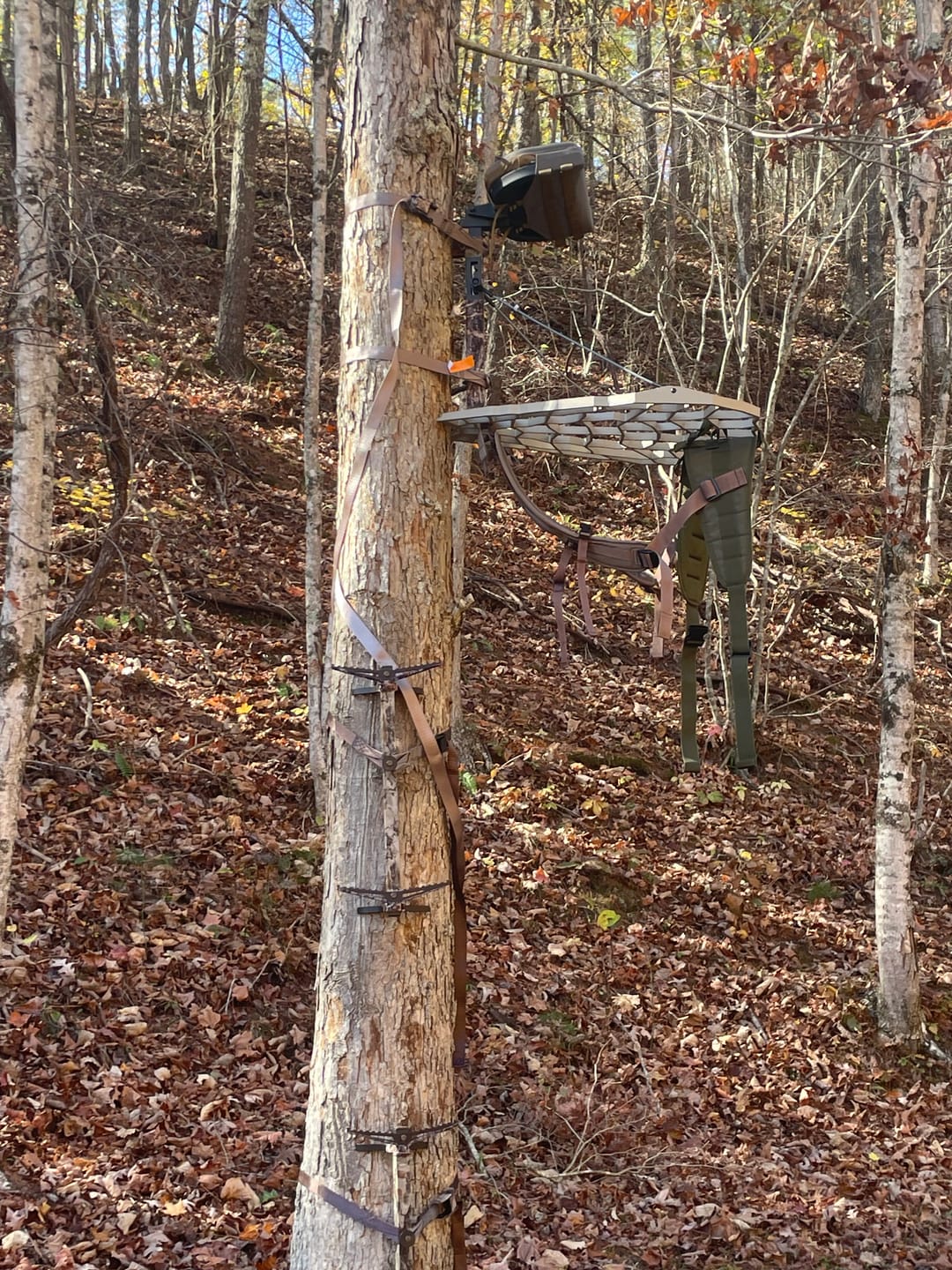 Customer photo review of BEAST GEAR CLIMBING STICK