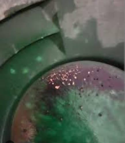 Customer photo review of Elite 'NUGGET CHASE' - Gold Panning Paydirt Concentrate