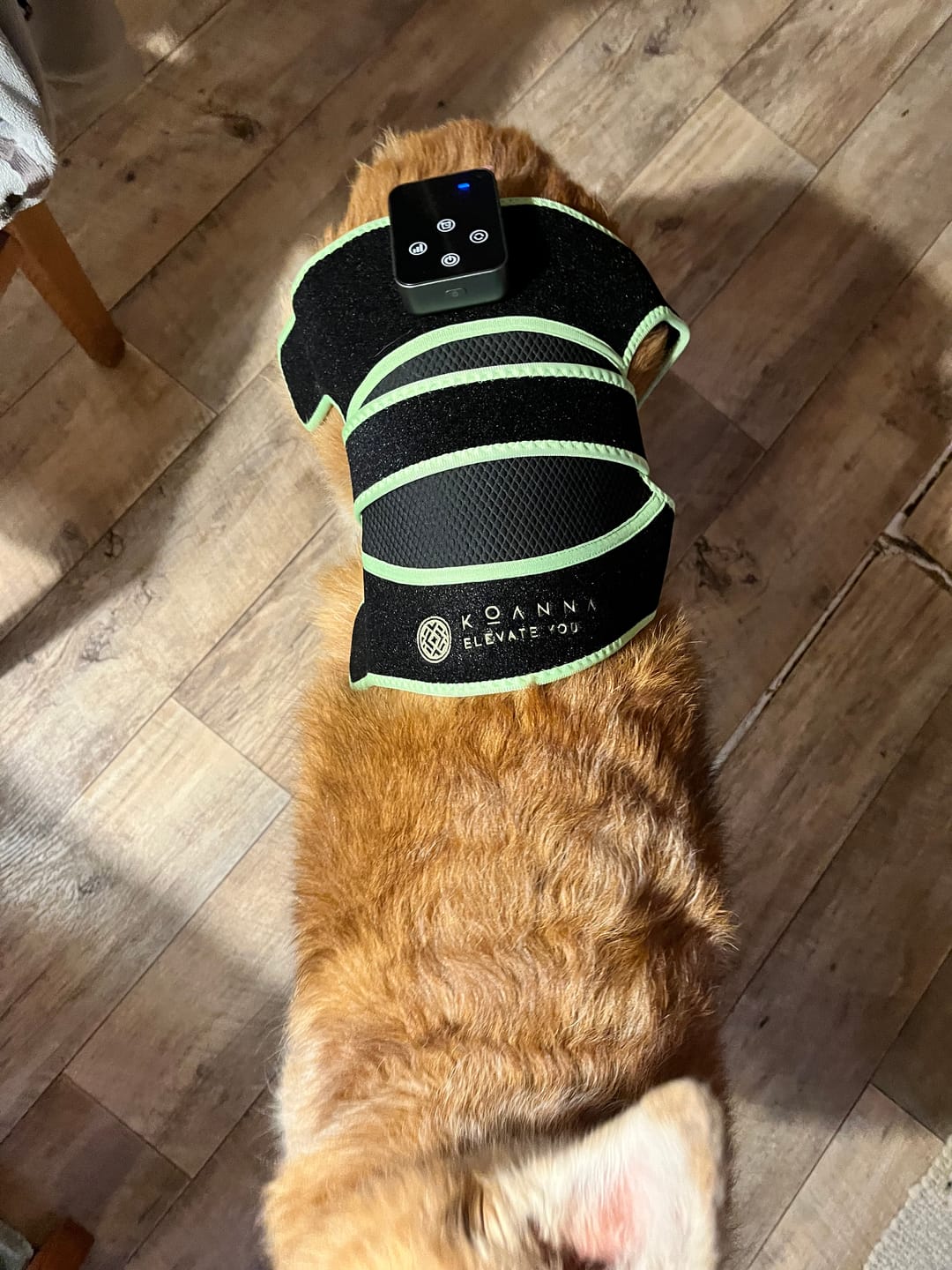 Customer photo review of Koanna® Rotlicht Bandage gegen Knieschmerzen