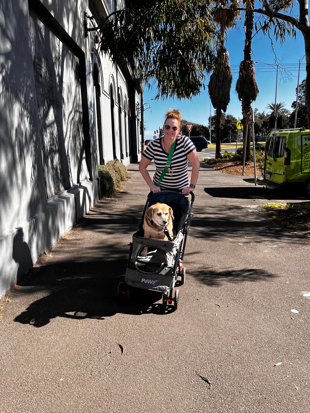 Customer photo review of Pet Dog Stroller Pram 4 Wheels