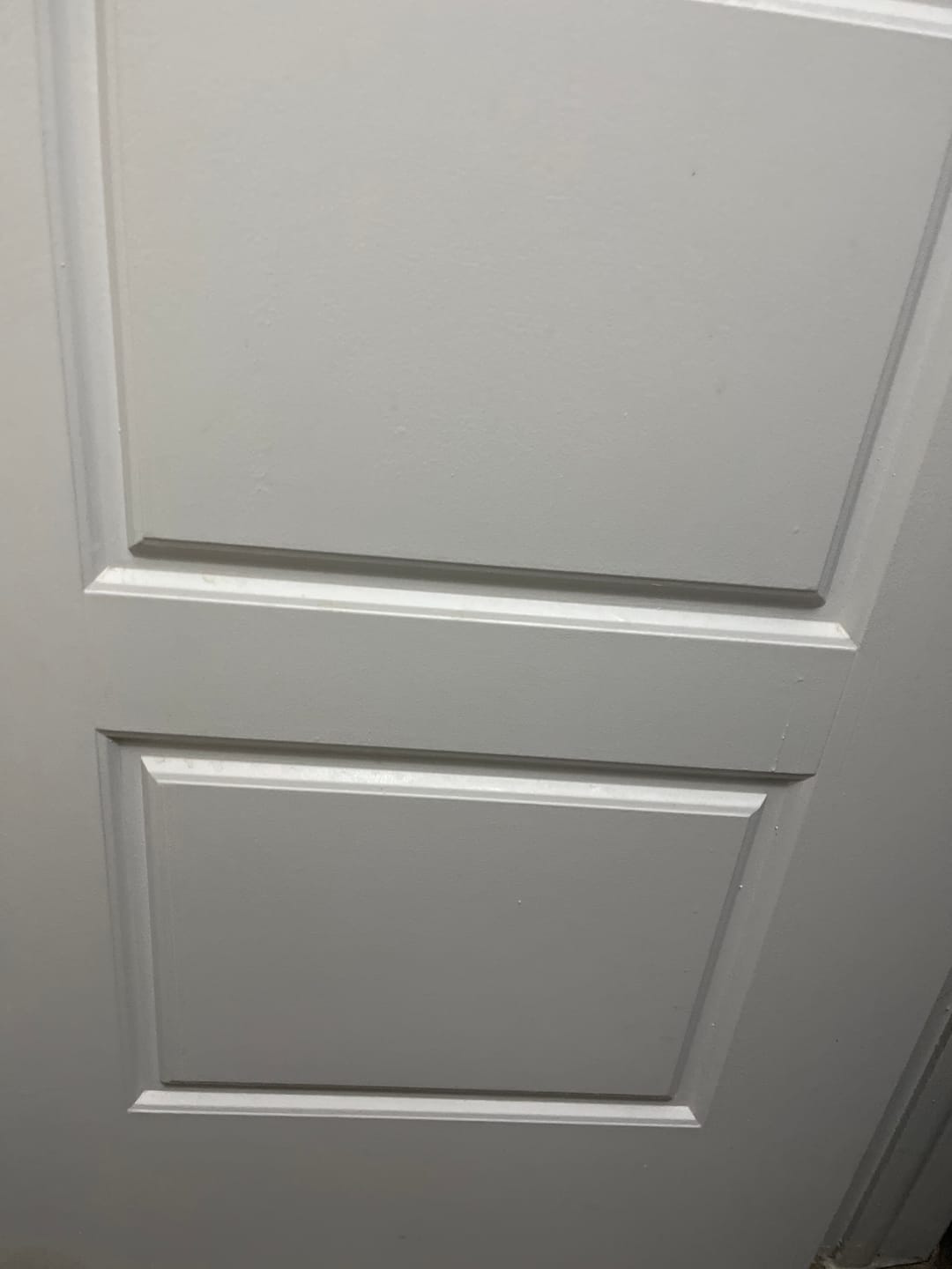 Customer photo review of Decibel Defense Replacement Cushions and Foam Liners - Hygiene Kit