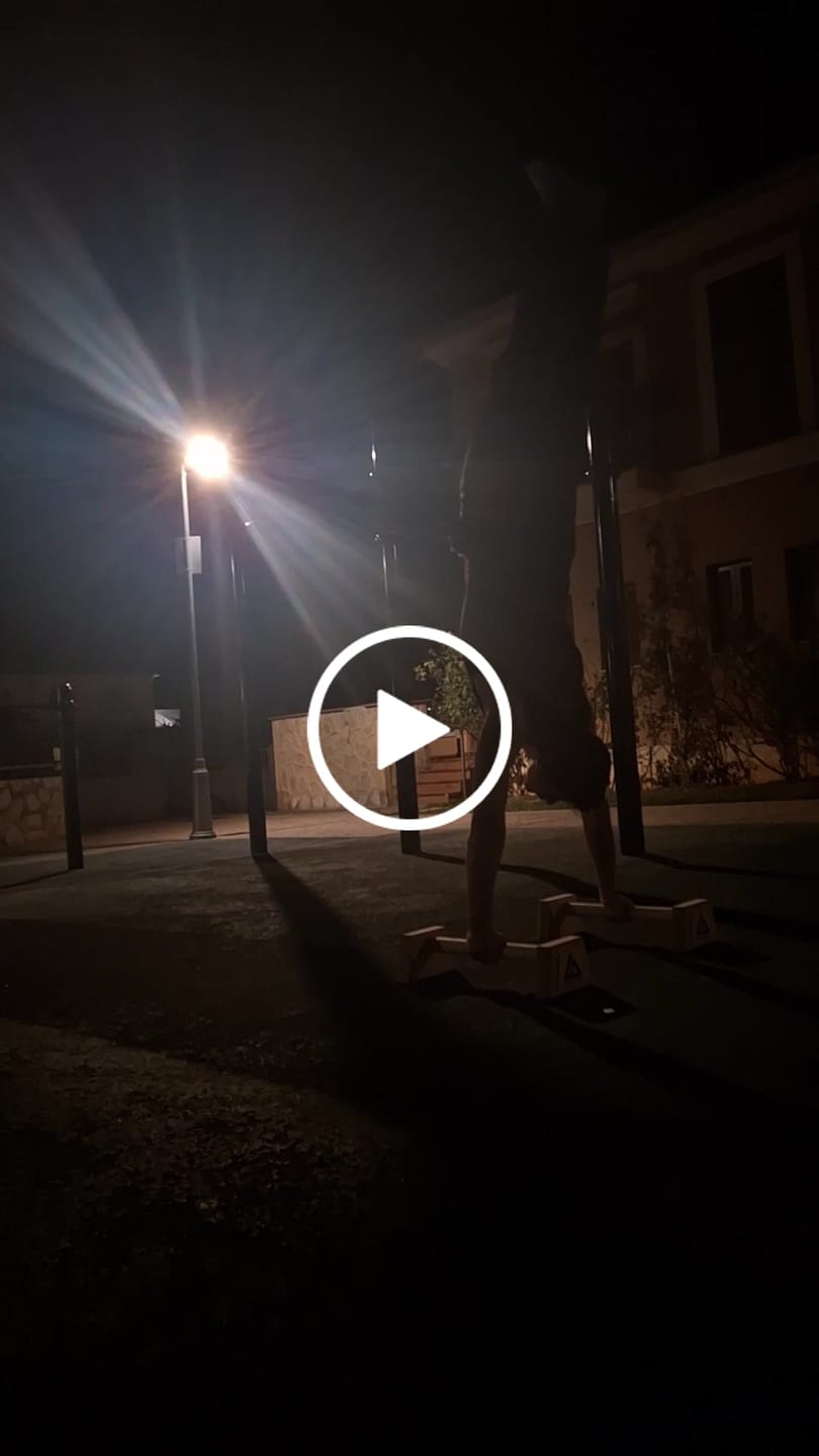 Customer video review of Wooden Parallettes LONG