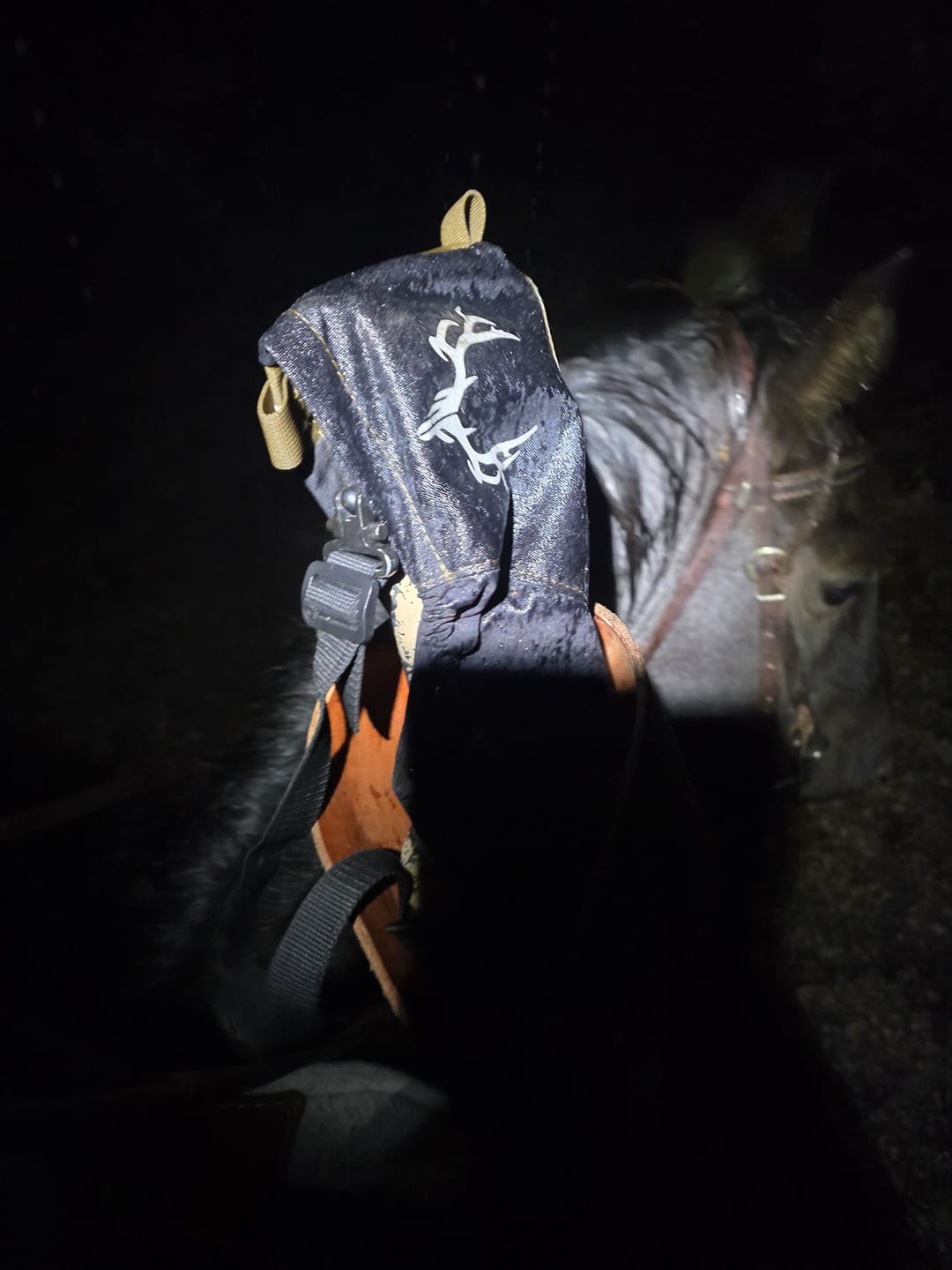 Customer photo review of Pack-Konnect R Rifle Cover
