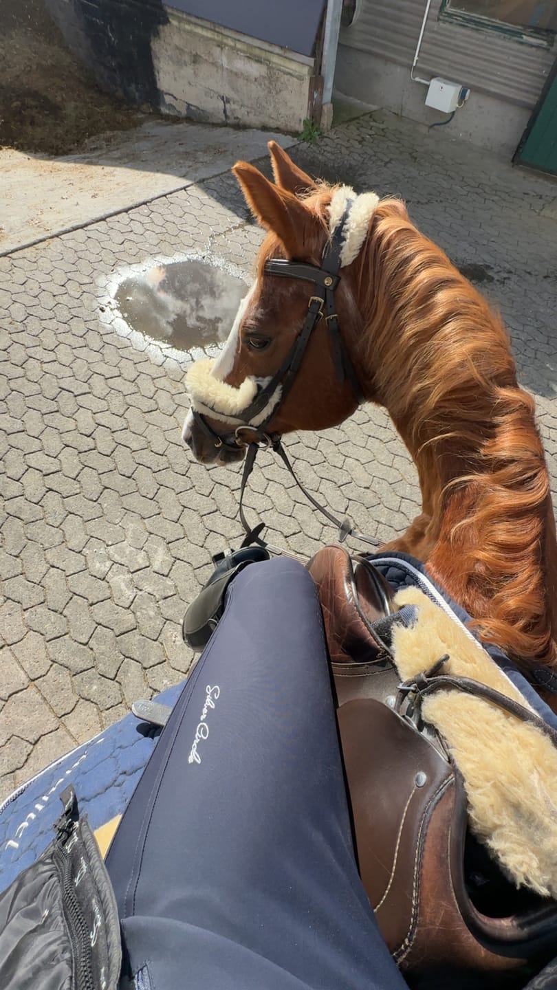 Customer photo review of Biley Reithose Full-Grip