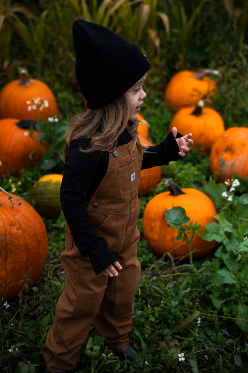 Customer photo review of Honeycrisp Preset Collection