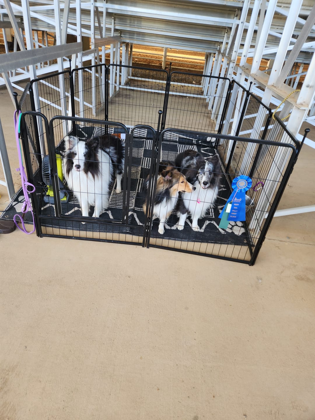 Customer photo review of Instant Dog Playpen for RV Trips
