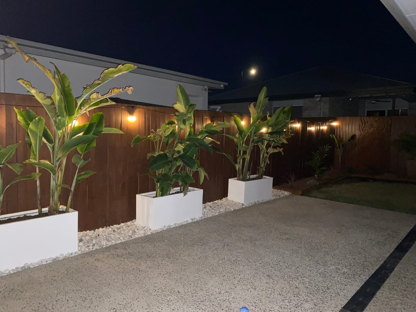 Customer photo review of Festoon Solar Lights (Series 2)