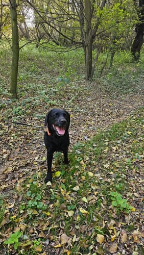 undefined review of Active Hips image 1 out of 1